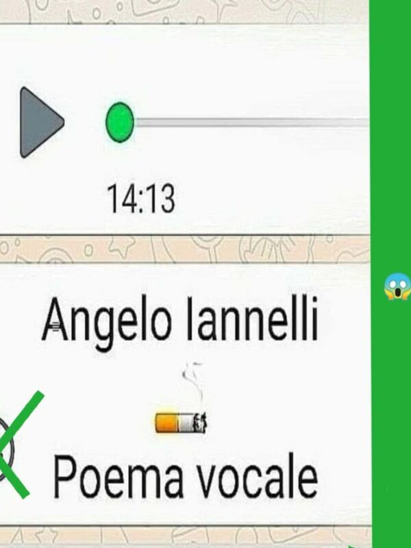 Angelo Iannelli da vicino: Di cosa parla Poema Vocale?