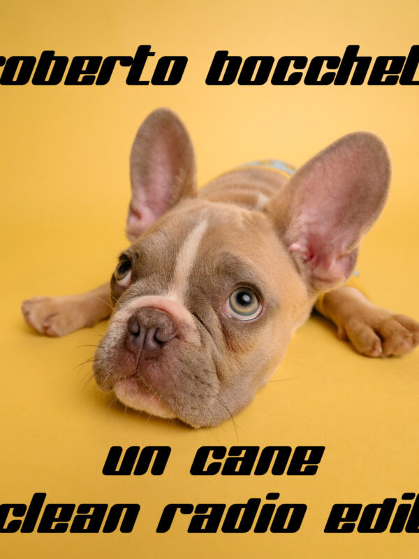 Roberto Bocchetti presenta il singolo “Un cane”
