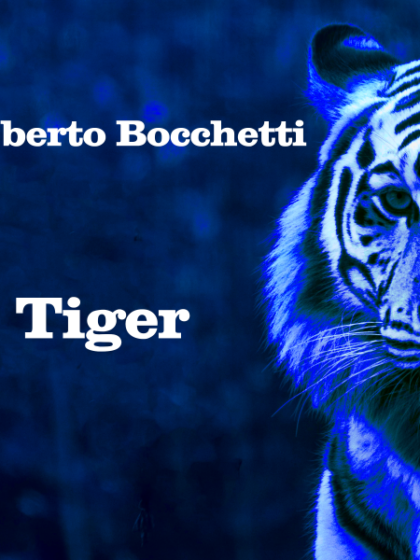Roberto Bocchetti presenta il singolo Tiger