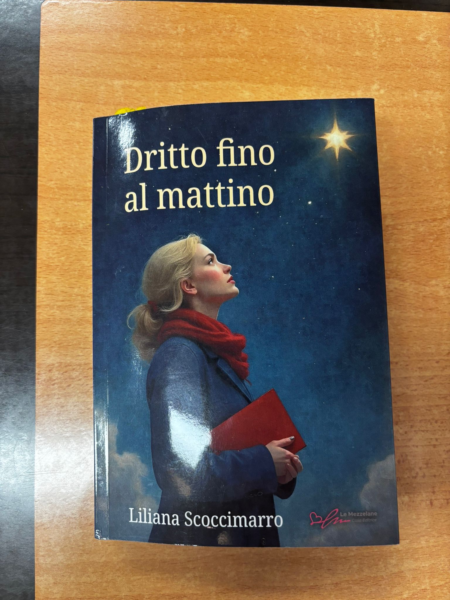 LILIANA SCOCCIMARRO DRITTO FINO AL MATTINO